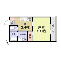 Ｃａｓｓｅｔａ　Ｃａｒｉｎａの画像