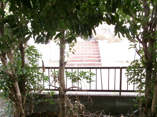 第２シルクロードハイツの展望