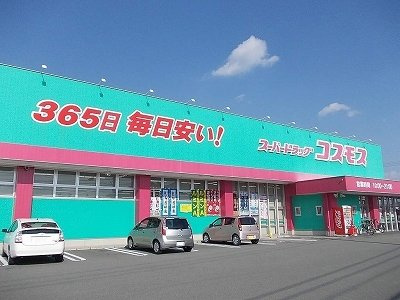 ウィルレジデンスⅠの周辺|コスモス藍住店様まで850m