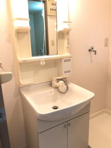 エスポアシャトレーン・コジマの洗面所|洗面