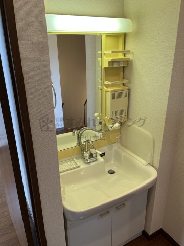 セントポーリア鴻池の洗面所