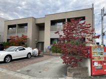 ベルリードフォーマルFの画像