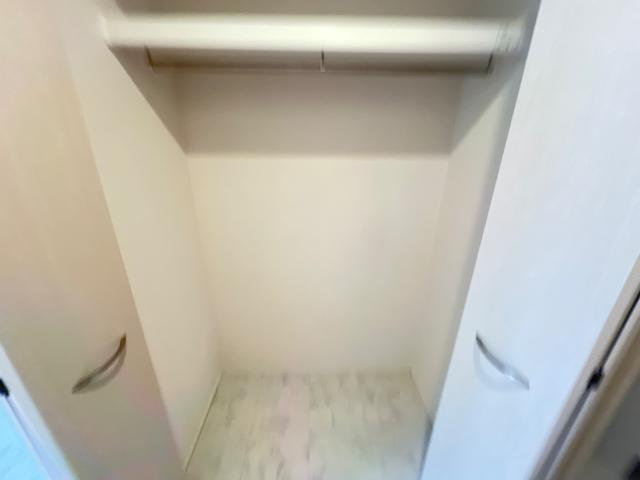 エミネンスおおたかの森の収納|クローゼット