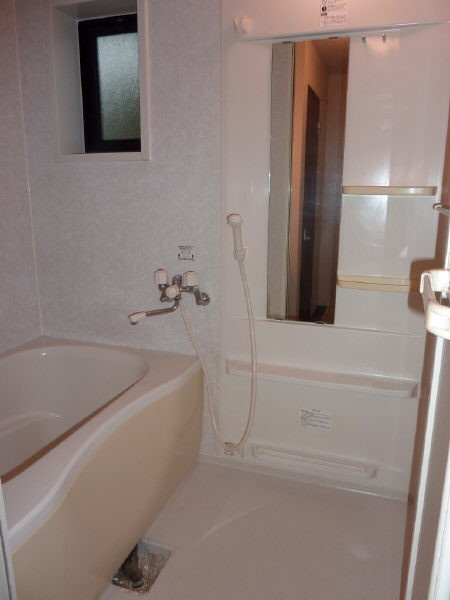 ドエル善十の浴室