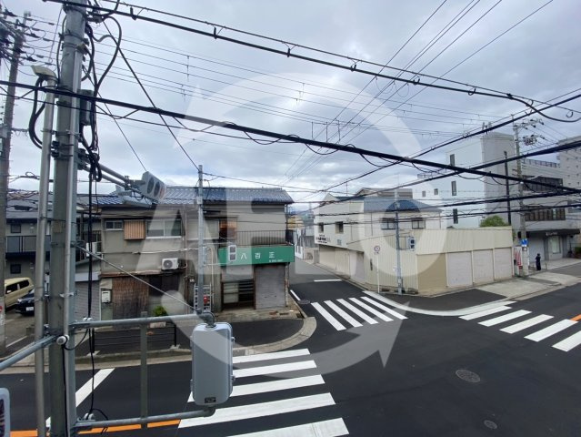 ハナミズキの展望|ハナミズキ　眺望