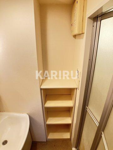 ドルチェ・ヴィータ（都島）の収納