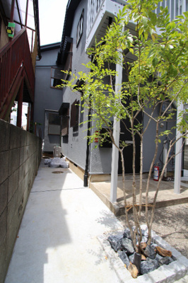 【エントランス】 | with plunts 北町