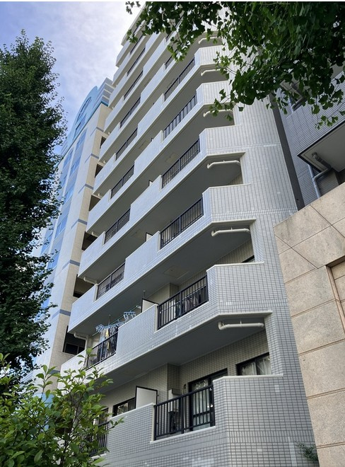 パラスト白山の画像