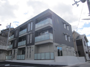 ラフィシアの画像