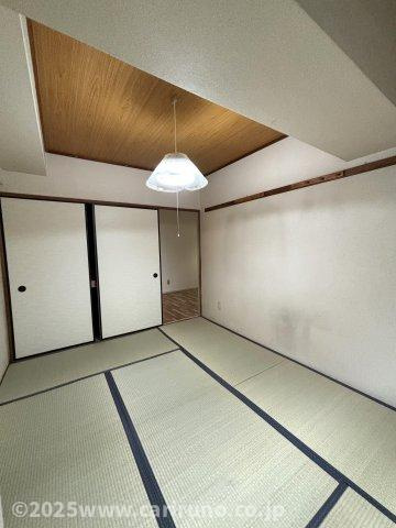 シャルルみずほのその他