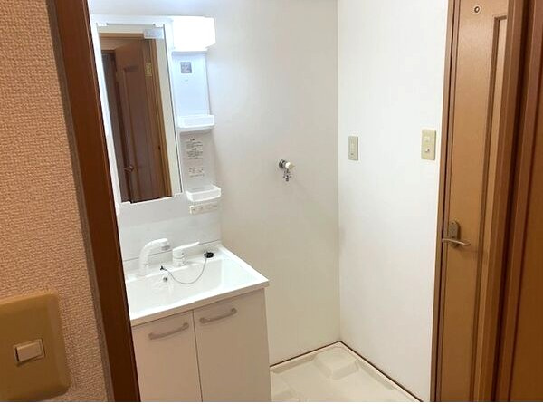 ＩＤＡＫＡＤＡＩ　ＢＬＧの洗面所