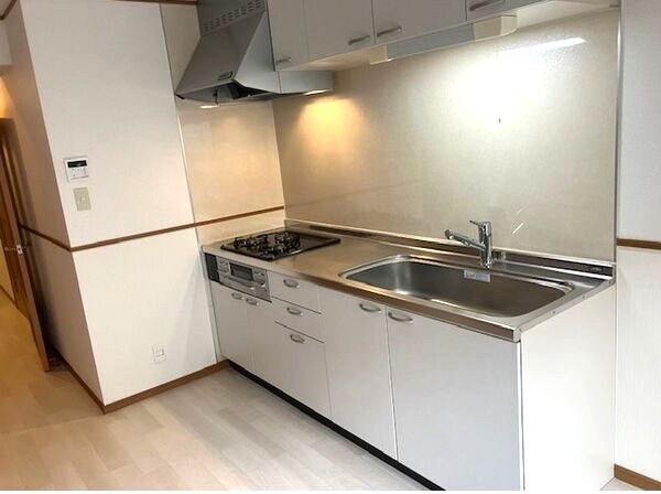 ＩＤＡＫＡＤＡＩ　ＢＬＧのキッチン