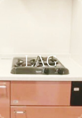 【設備】 | スカイコート東京ベイ・東雲 | 2口コンロです。