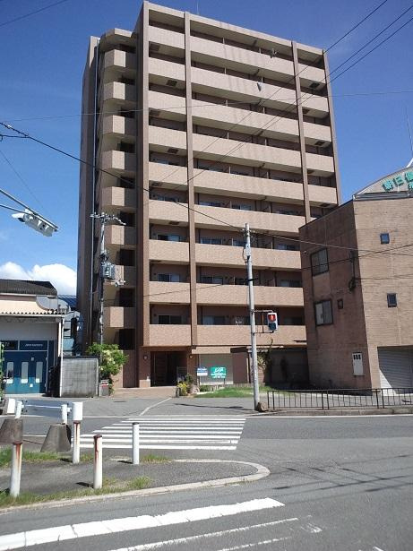 プロミネンスの外観