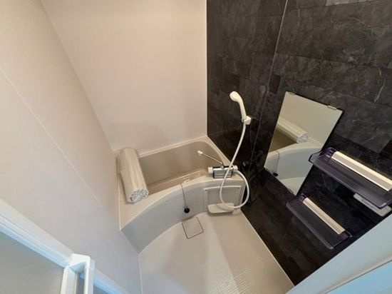 メゾン・ダルジャン西大宮の浴室