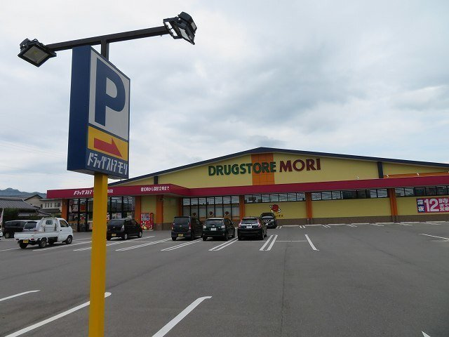 岩畠３丁目アパートの周辺|ドラッグモリ国衙店まで1410m