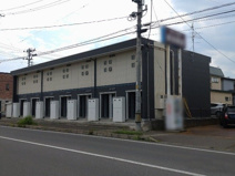 レオネクスト桜の画像