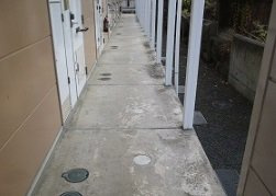 【その他】 | レオパレス３３３