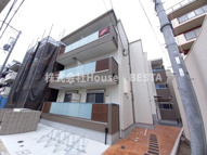 F asecia caninaの画像