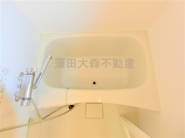 ブライズ蒲田WESTの浴室