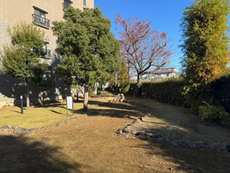 【その他共用部分】 | パブリデンス春日部豊春