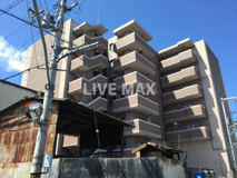 ティムール九条の画像