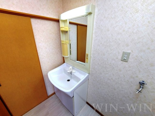 ブリス南島の独立洗面台