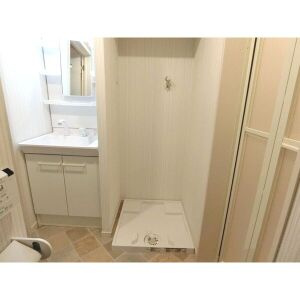 ランドスクエア上飯田の洗面所