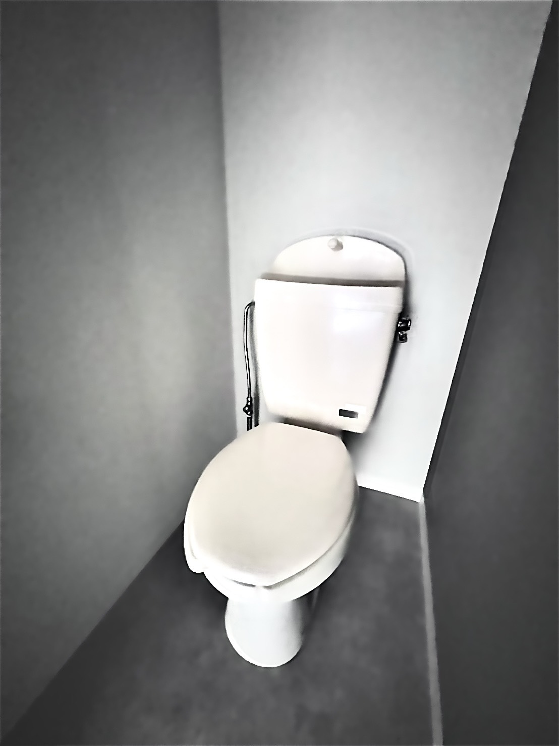 ハイツ清水のトイレ