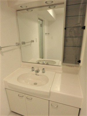 【洗面所】 | ウィルテラス南大塚