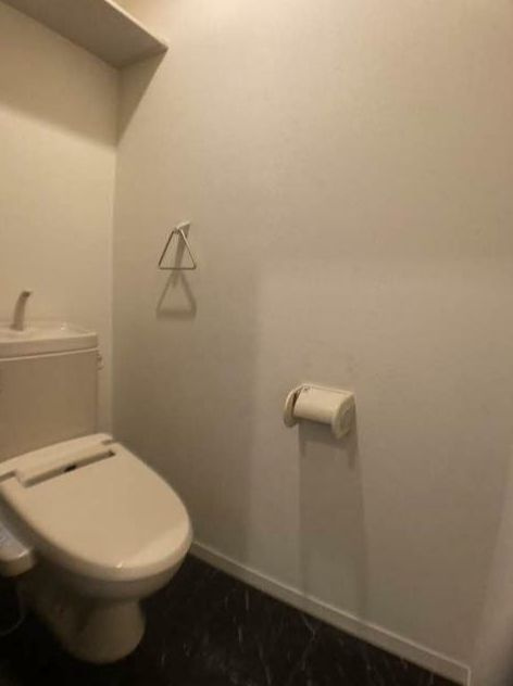 メゾンドサリジェのトイレ