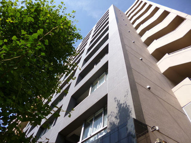 グローバリービューテラスⅣのエントランス|陽当たり良好です