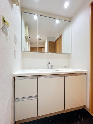 【独立洗面台】 | センチュリー生田