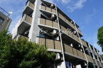 フォンテーヌの画像