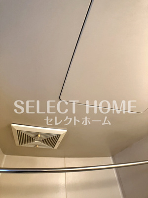  | フォーブル羽根