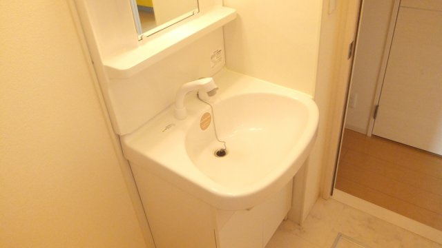 セントアンドリュースＡ棟の洗面所|シャンプードレッサー付き