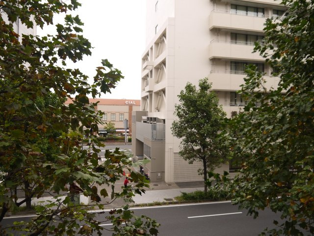 【展望】 | アール・ケープラザ横濱Ⅵ | 豊かな陽光に照らしだされる素敵な空間に感動すら覚えます。窓には木々の緑が木漏れ日と共にまるで絵画のように美しく映し出されます。季節を問わず華やいだ素敵な風景をお楽しみいただけます。