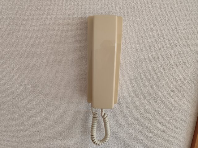 モンフレールのセキュリティ