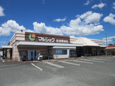 【周辺】 | アベリア　４ | マルショク松橋駅前店まで550m
