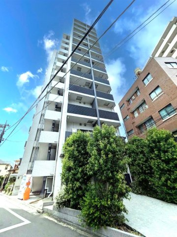 ガリシア中野弥生