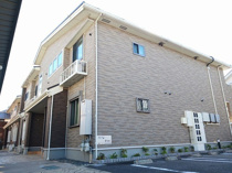 Ｌｕｐｉｃｏｎ　Ｙａｂａｓｅの画像