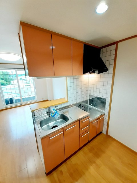 ネクスト・グランブルー　Ⅰのキッチン|キッチン