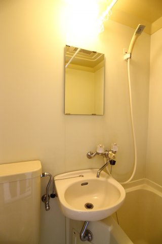 ダイドーメゾン垂水の洗面所