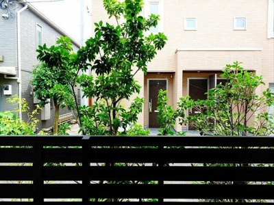 【展望】 | パーシモンバーチ