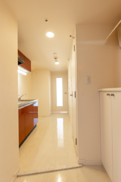 Ｄｏｒｍｏｕｓｅ　Ｃａｓｔｌｅの玄関|※写真は同タイプ住戸です。