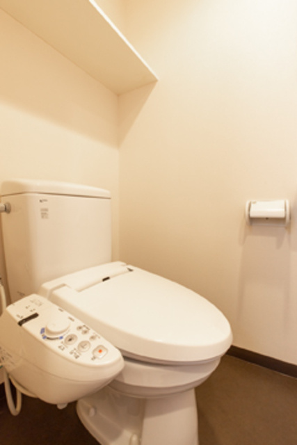 Ｄｏｒｍｏｕｓｅ　Ｃａｓｔｌｅのトイレ|※写真は同タイプ住戸です。