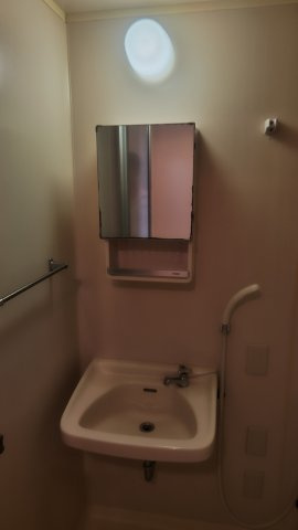 パークハイツ山手の洗面所