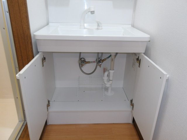 パレスプレミエの洗面所