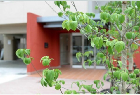 クレッセント多摩川Ⅱのエントランス