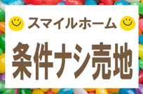 秦野市下大槻　条件ナシ売地の画像